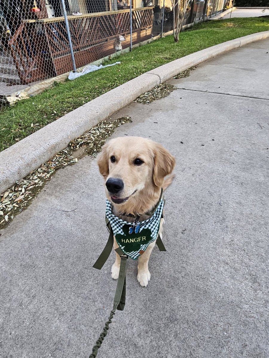 Ryan Blue Thunder tweet media