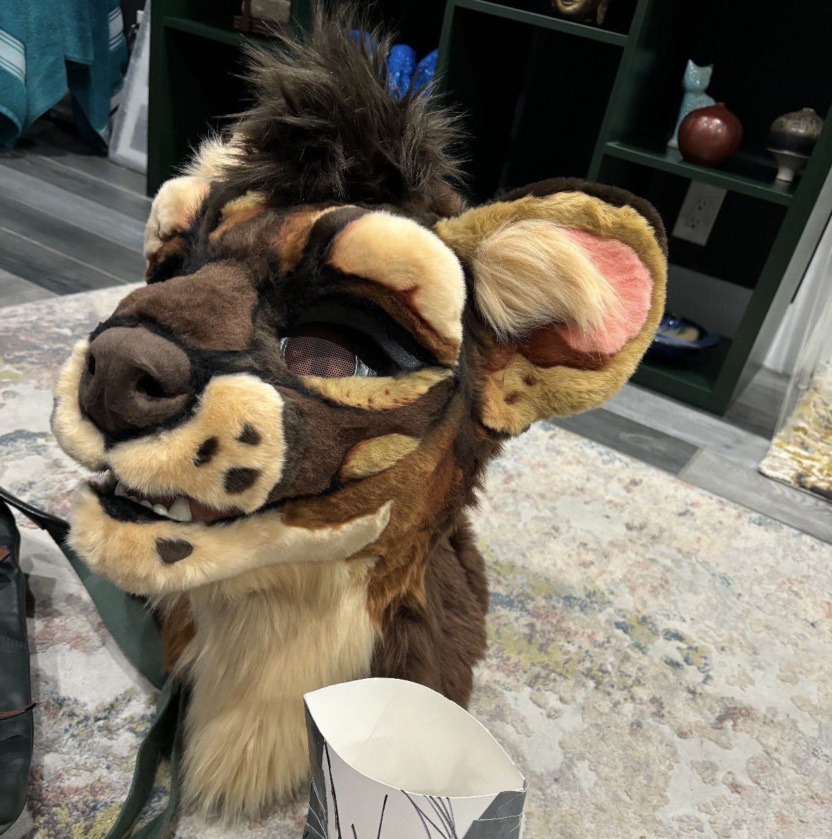 wild 🔜 TIRED tweet media