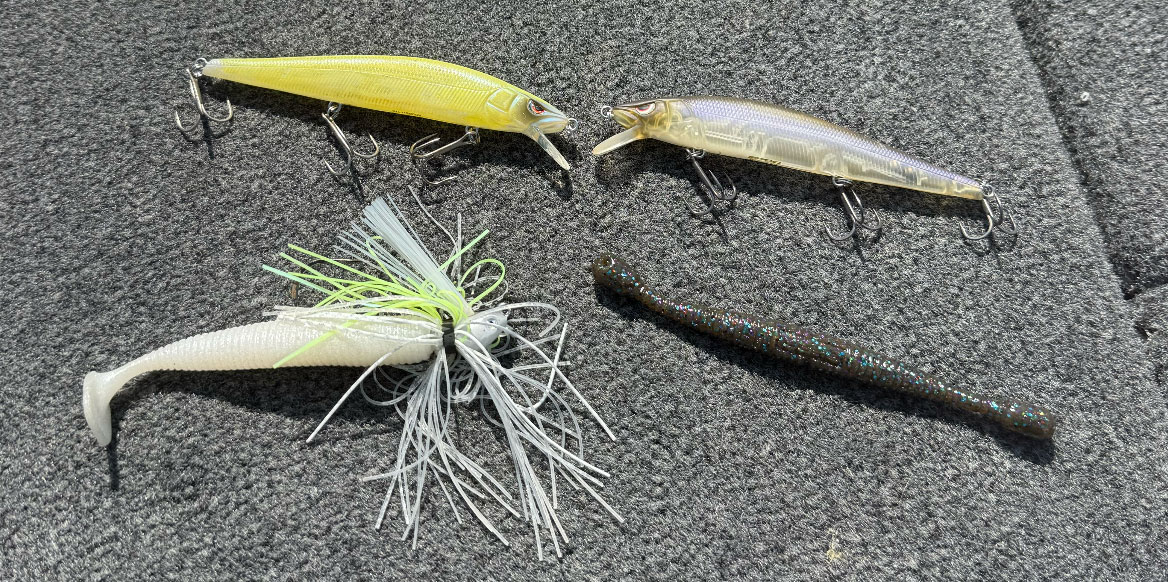 JayKumarBass tweet media