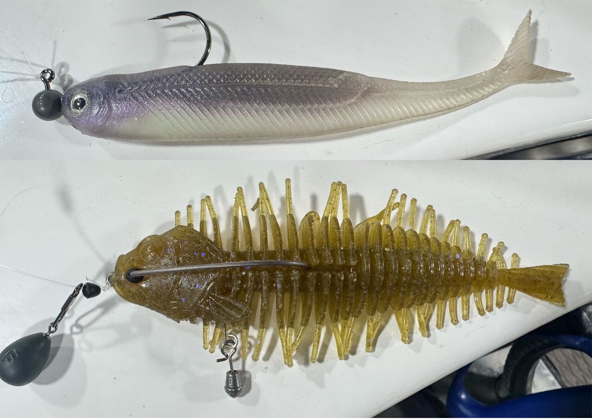 JayKumarBass tweet media