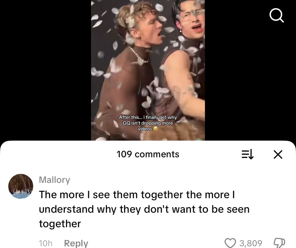 not mitski tweet media