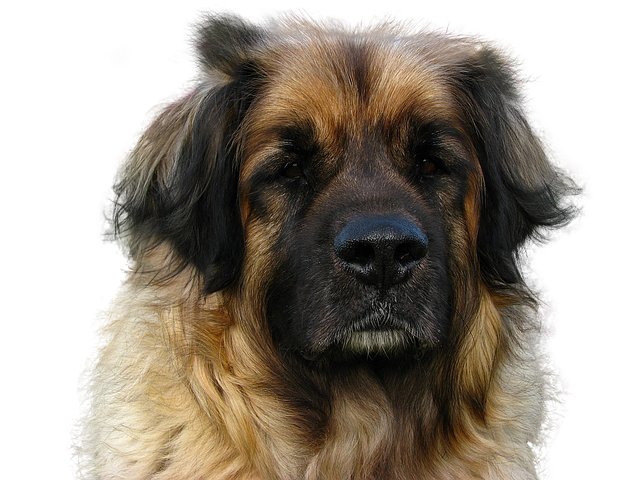 Jason Phillips tweet media