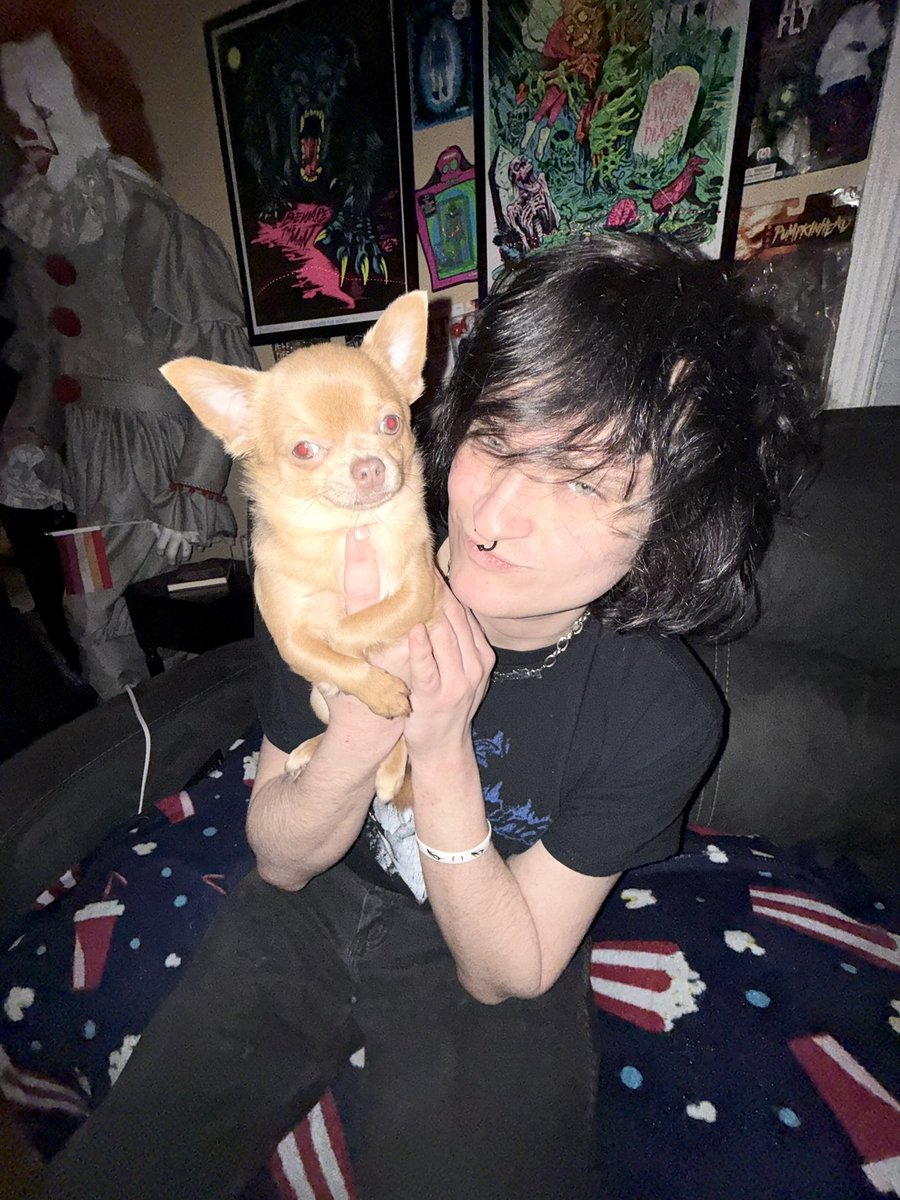 robin ºཀ° tweet media