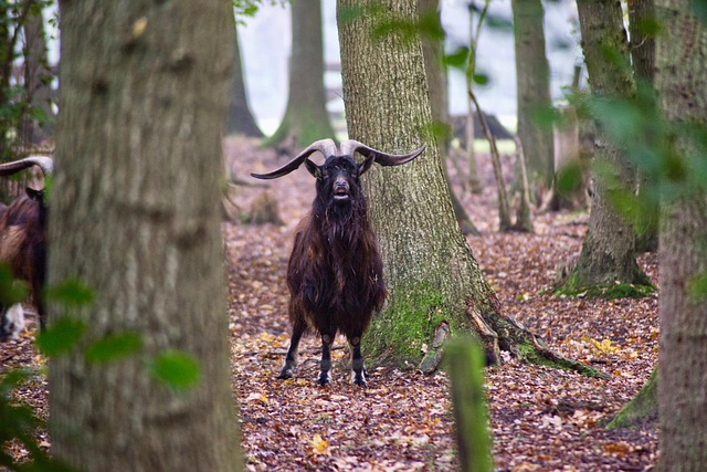 Jose Gomez tweet media