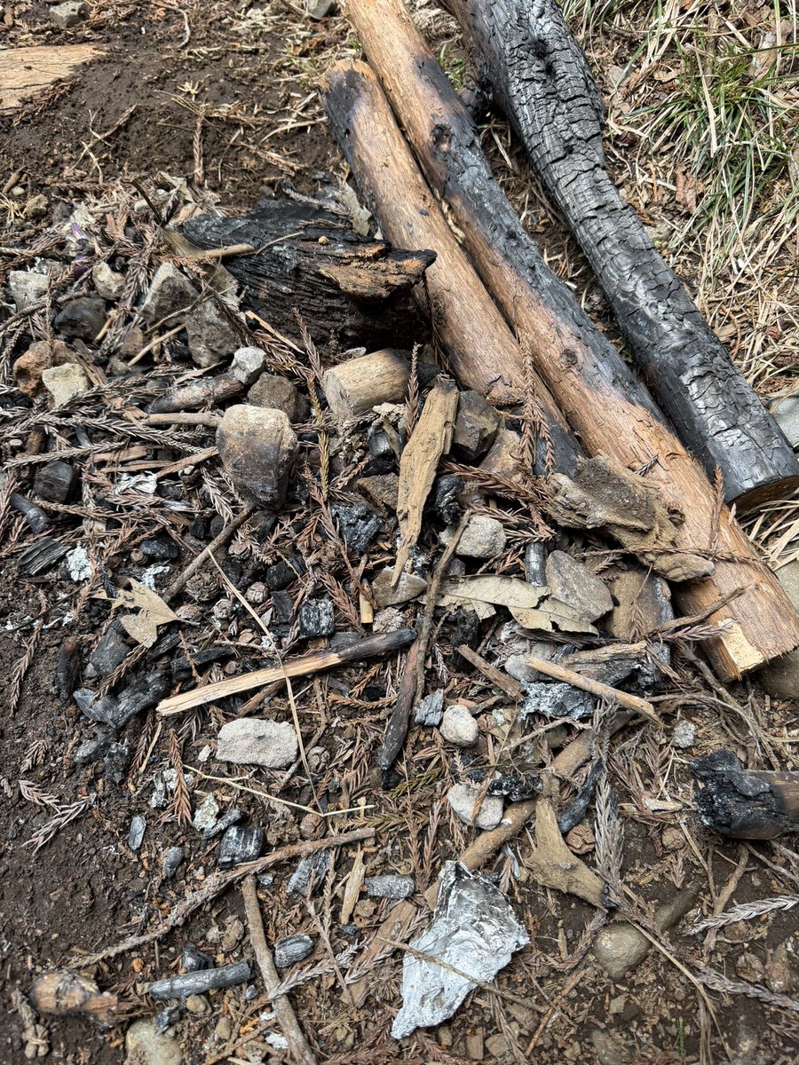 RidgeCycle tweet media