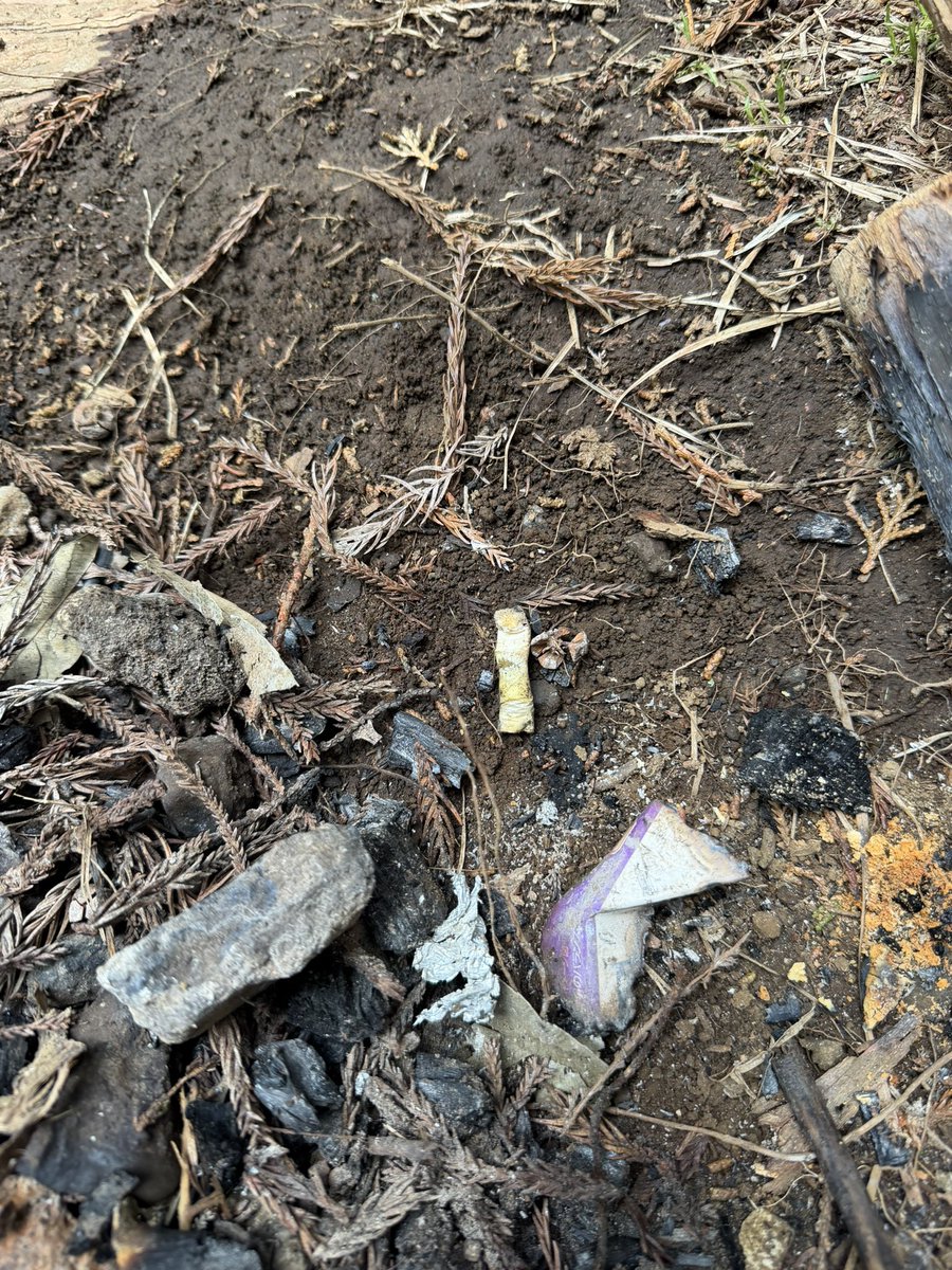 RidgeCycle tweet media