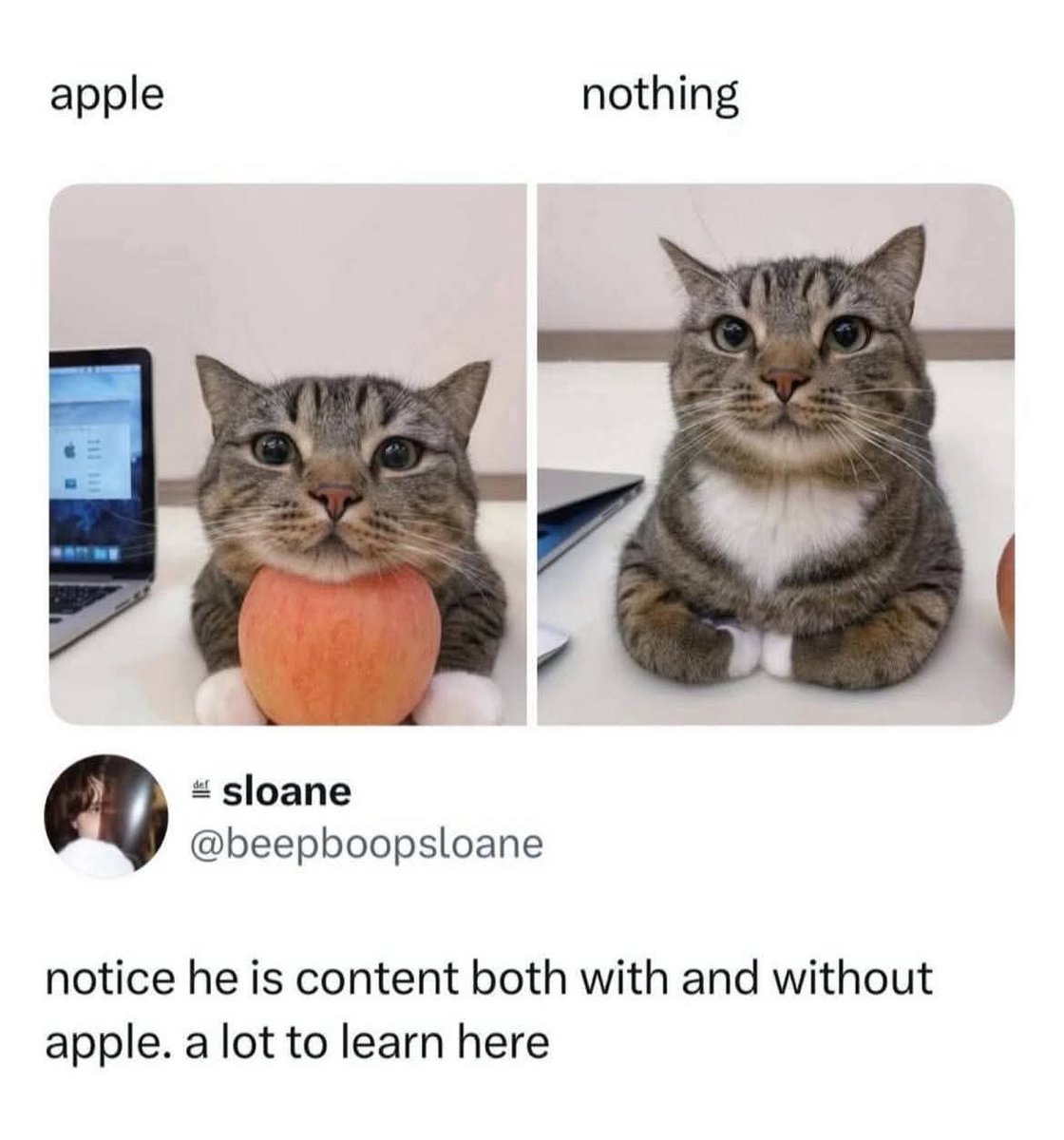 Moe Bible Verses ✝️ tweet media