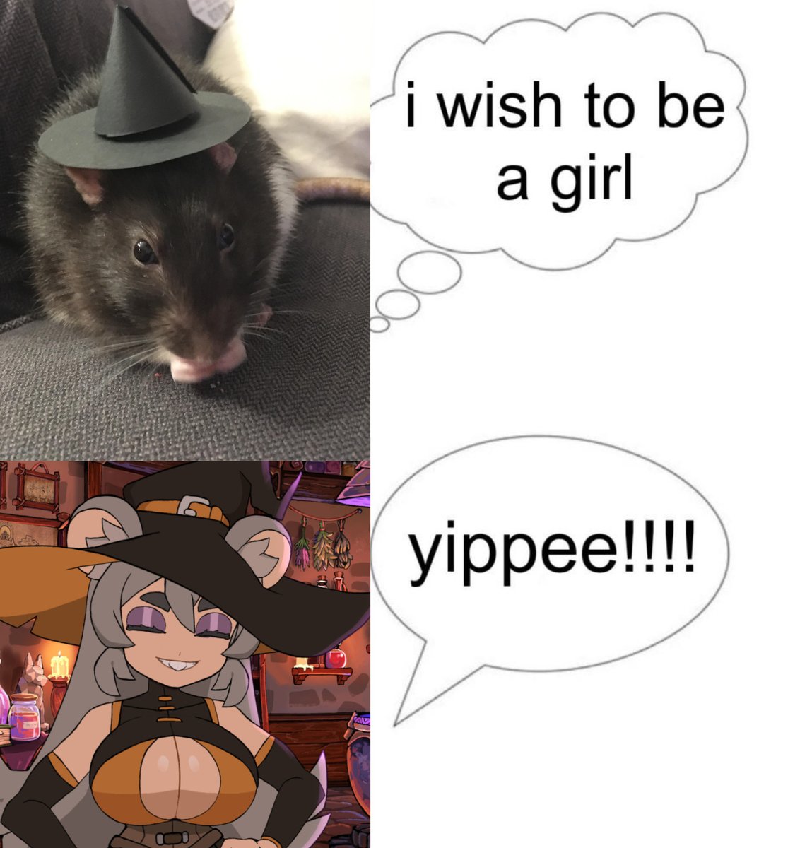 Boo the RAT 🐀🎃SEWER WITCH tweet media