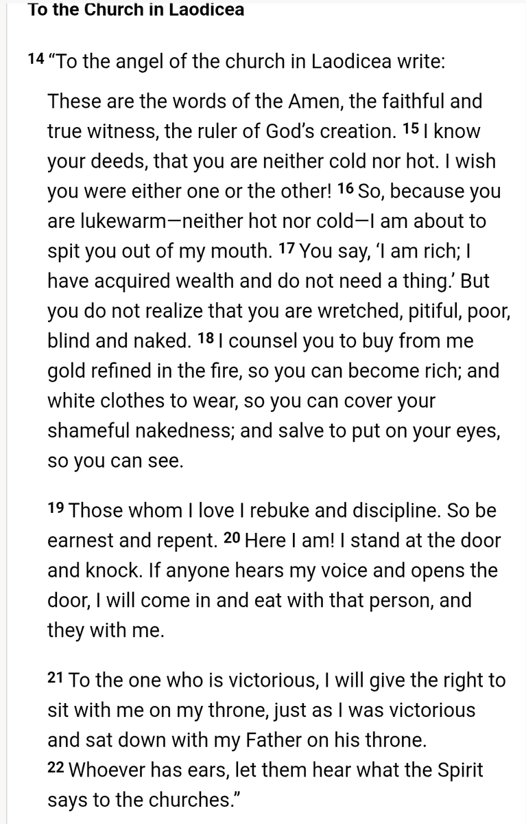 LabbyDogFarm🐊 tweet media