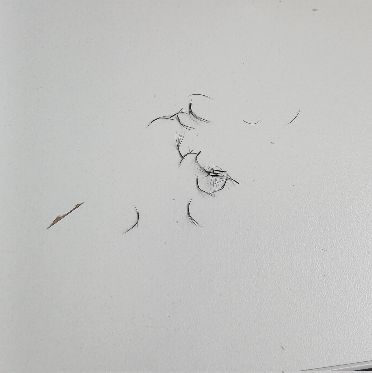 Ruth_b3ar's tweet photo. e eu q coloquei extensao de cilios e em menos de uma semana ranquei ele todinho
 parabéns pra quem consegue ficar com isso pq meu olho não aceitou legal não 

Obs: esse foi o restinho que ranquei hj https://t.co/ntspcpUDxe
