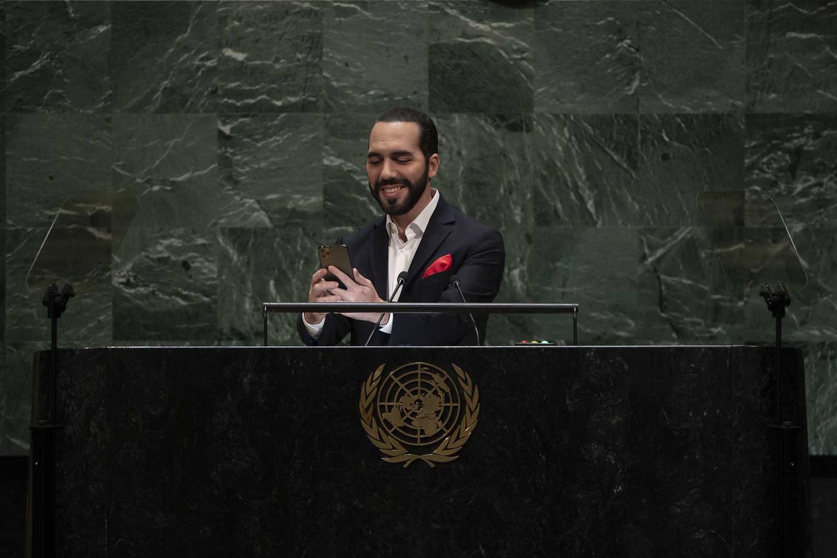 Bandera Patriota tweet media