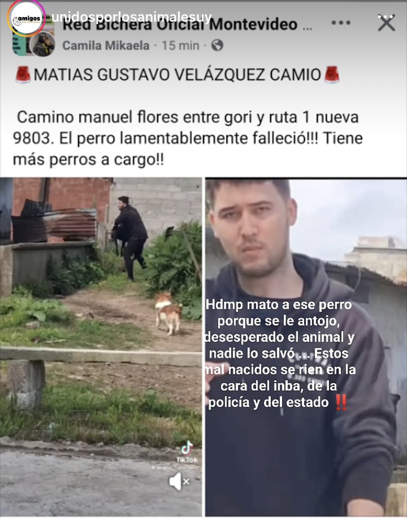 Escrachen a este asesino hdp!! 🤬🤬🤬