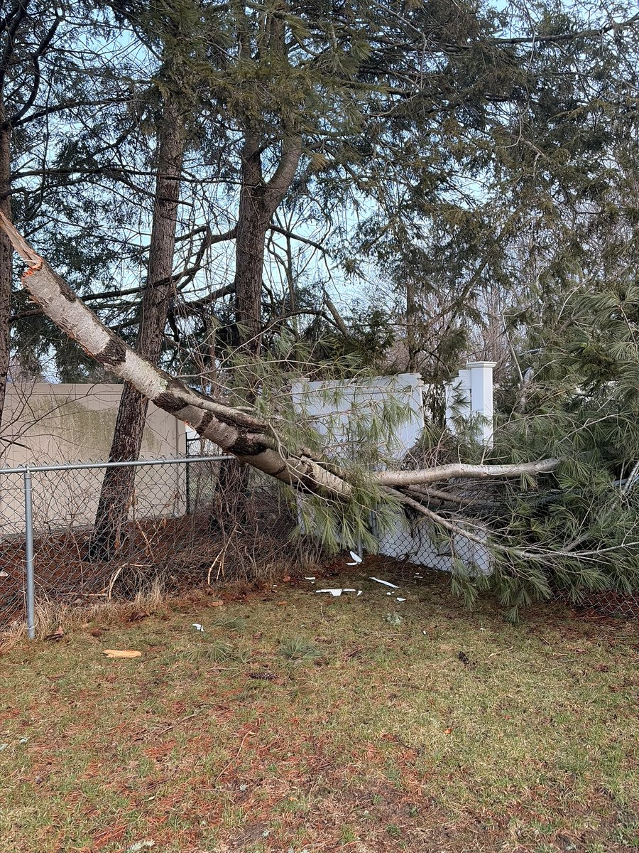 Matt Deis 🎲 tweet media