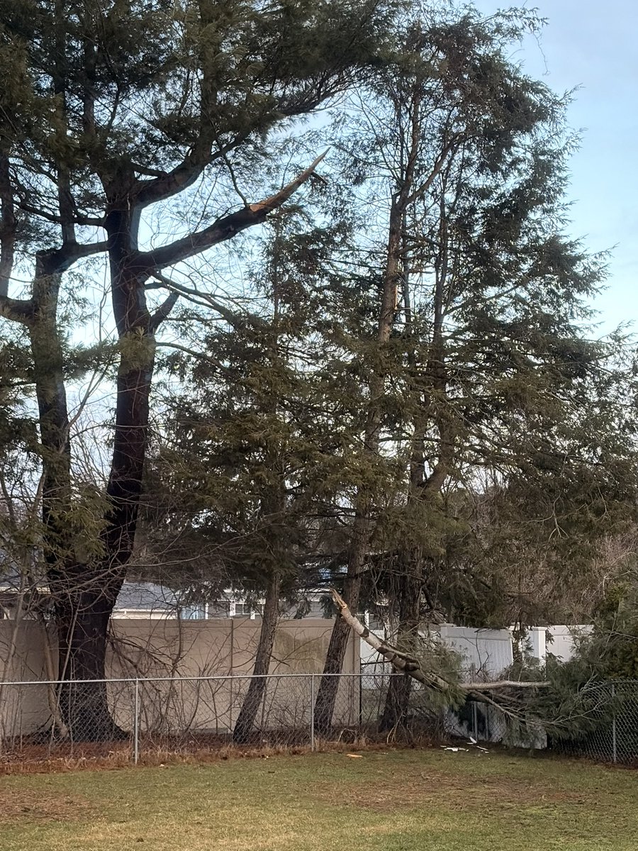 Matt Deis 🎲 tweet media