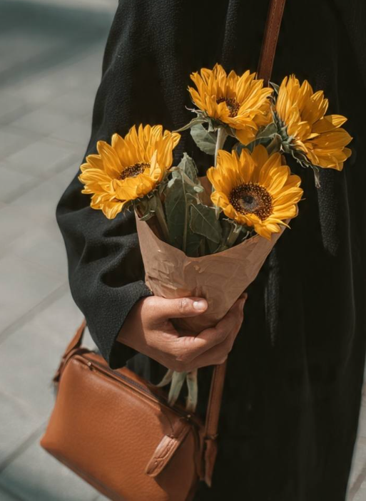 SUNFLOWER 🌻 tweet media