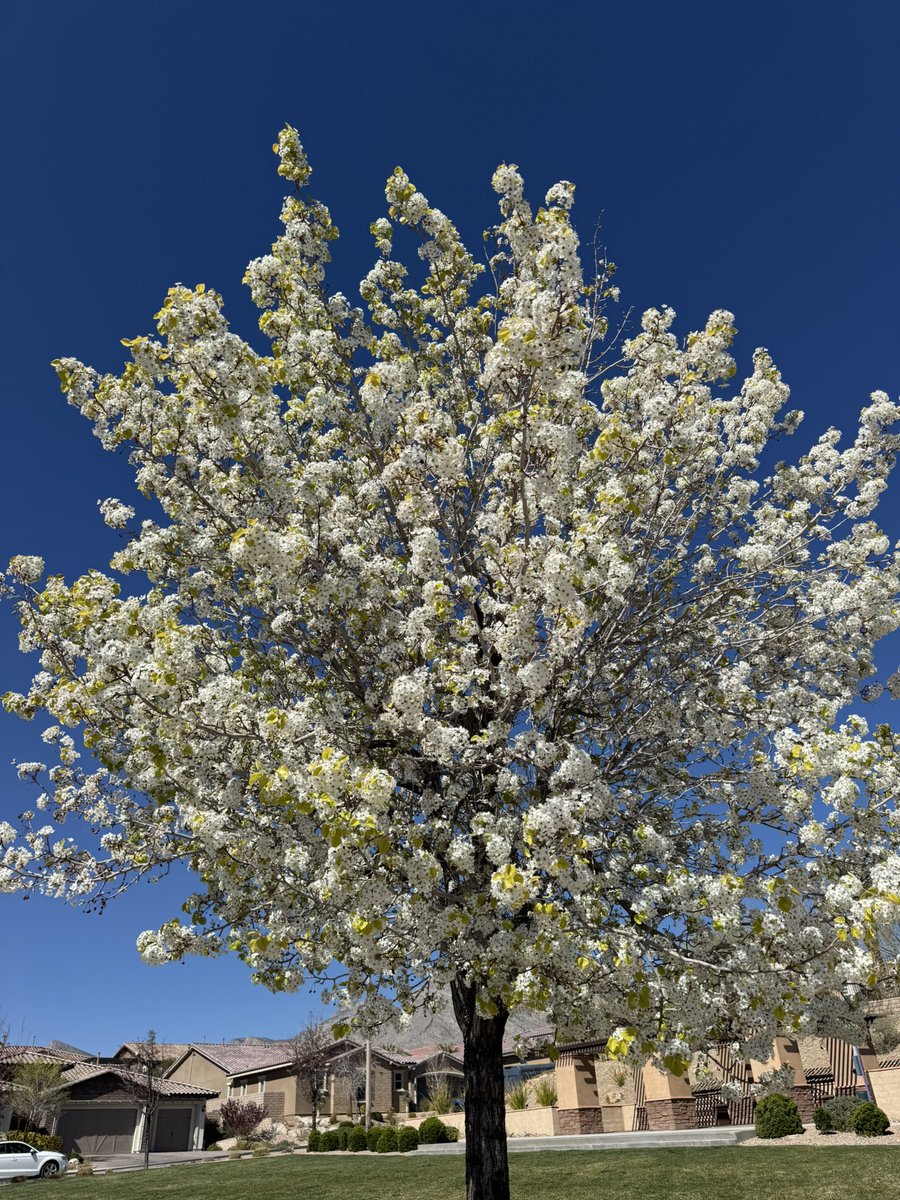 Kevin Janison tweet media