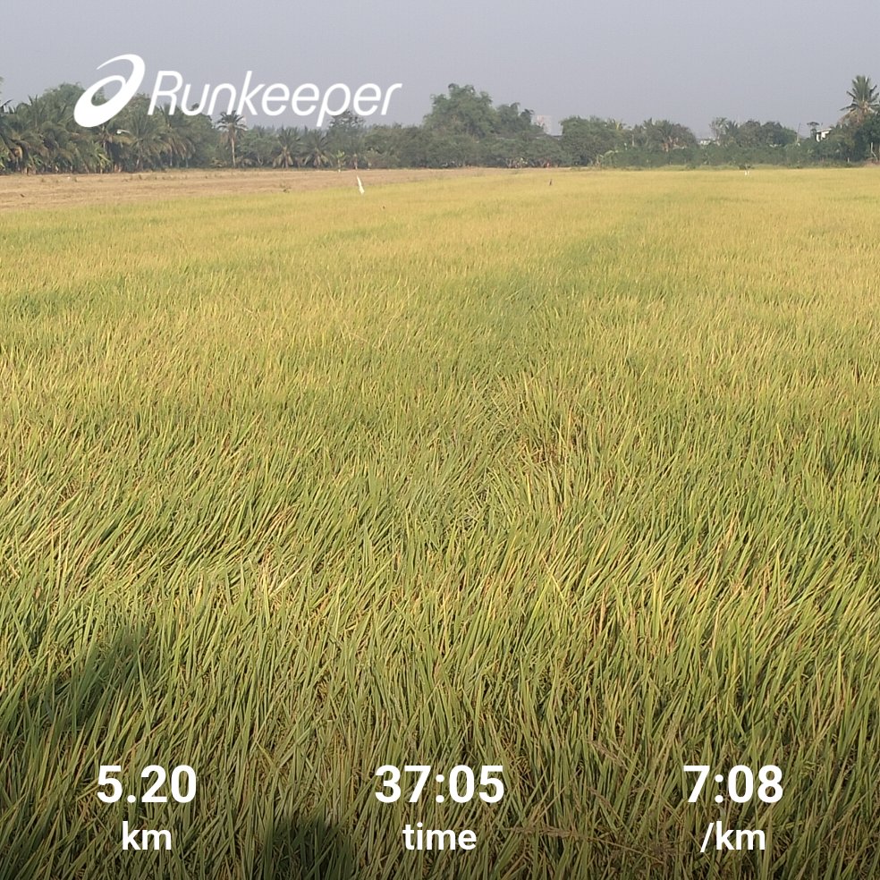 ตั้งใจจะวิ่ง easy แต่ pace ดันเป็น recovery ซะงั้น 😅
