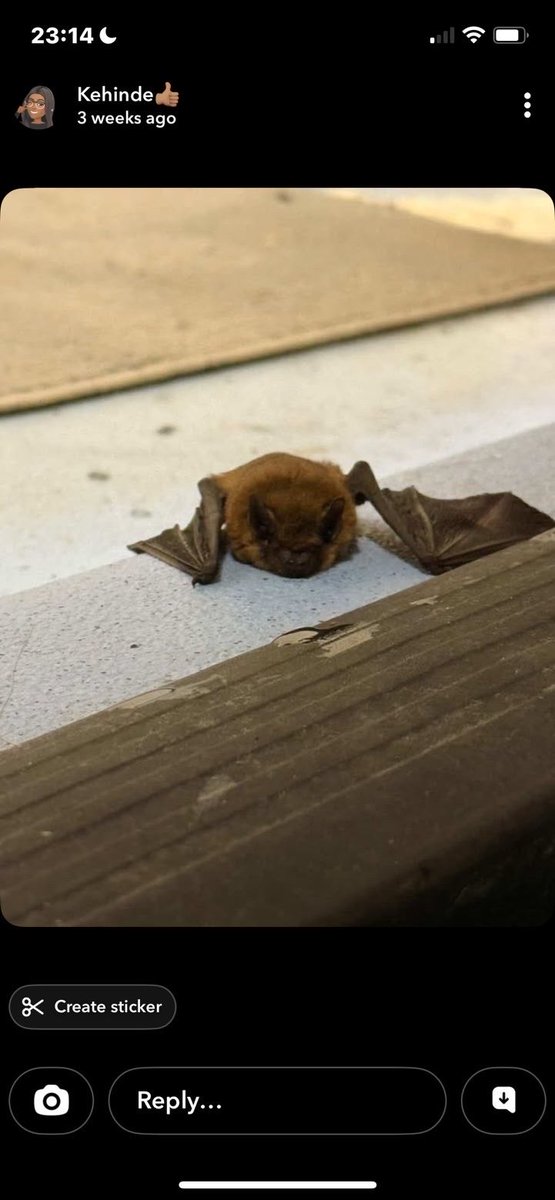 Bahrahman tweet media