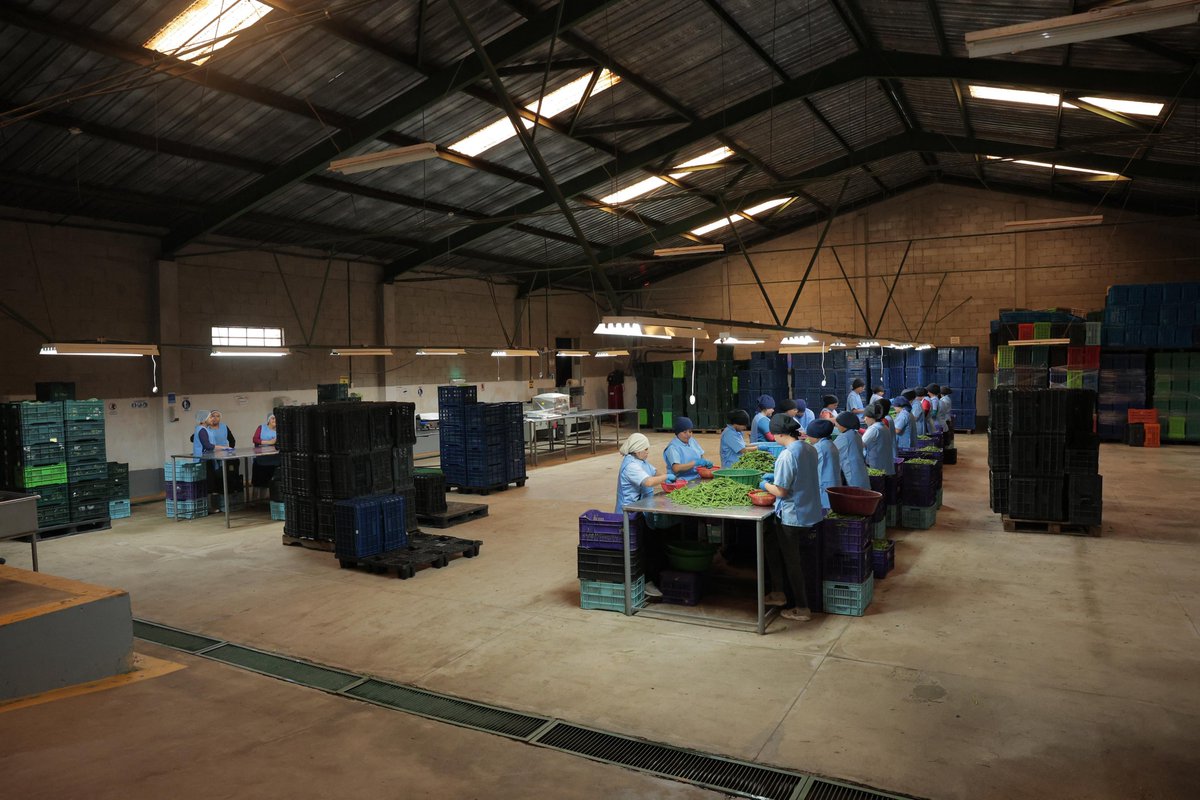 Ministerio Economía tweet media