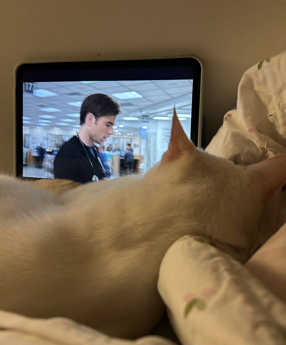 amelia ✮ is a star ✮ tweet media