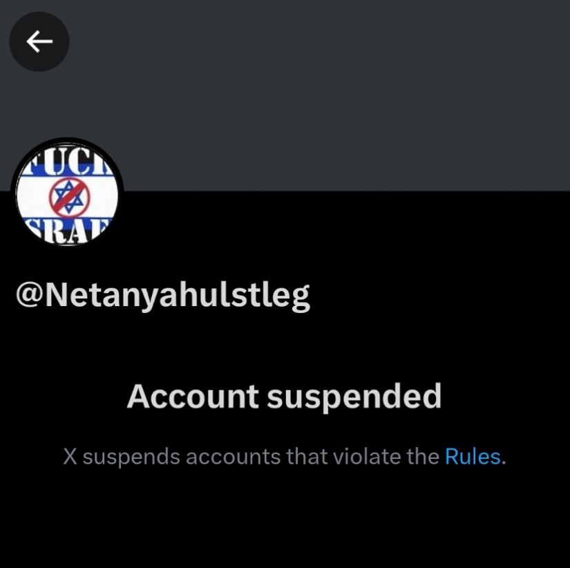 Parody Resistenznow 🇺🇸 tweet media