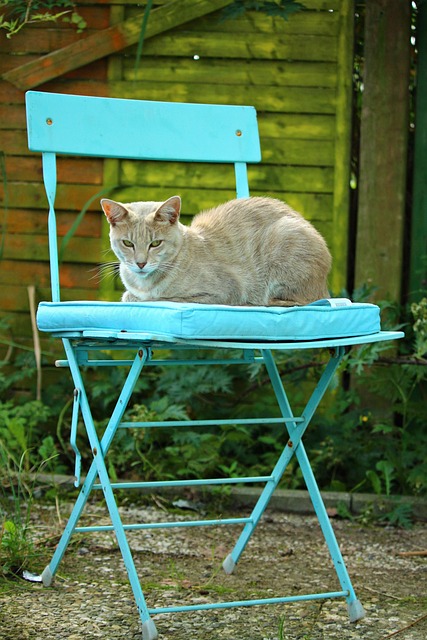 Joshua Streetz tweet media