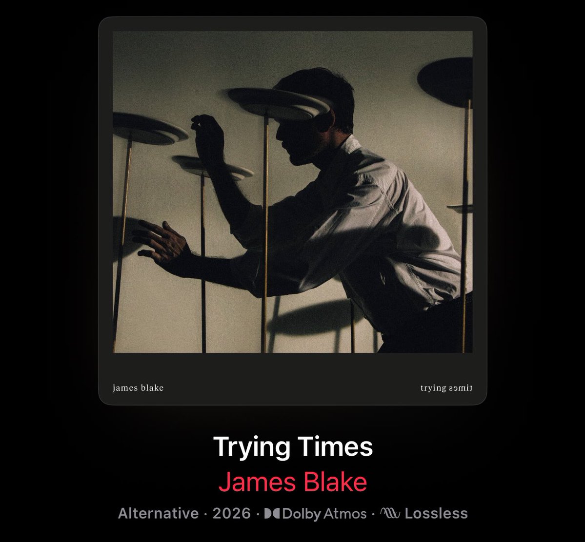 Mike Tee tweet media