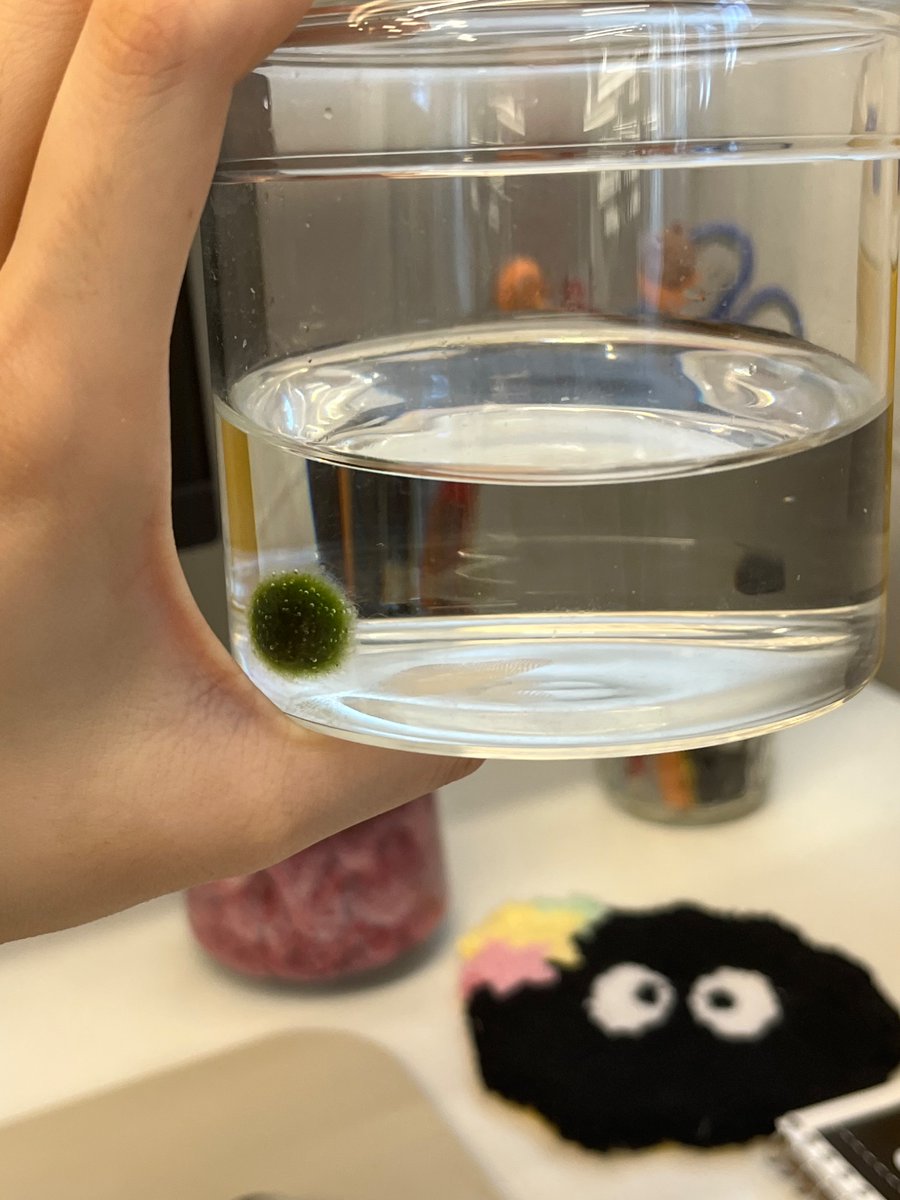 Louise Rui Xin💫 tweet media