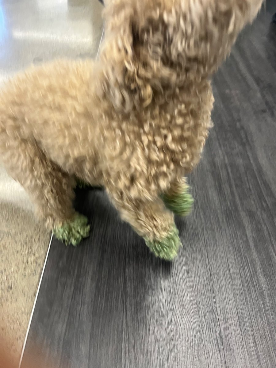 Louise Rui Xin💫 tweet media