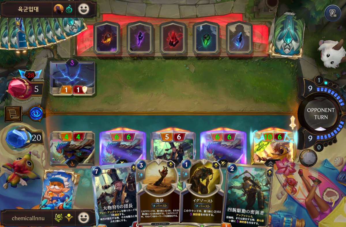 ケミカル犬 tweet media