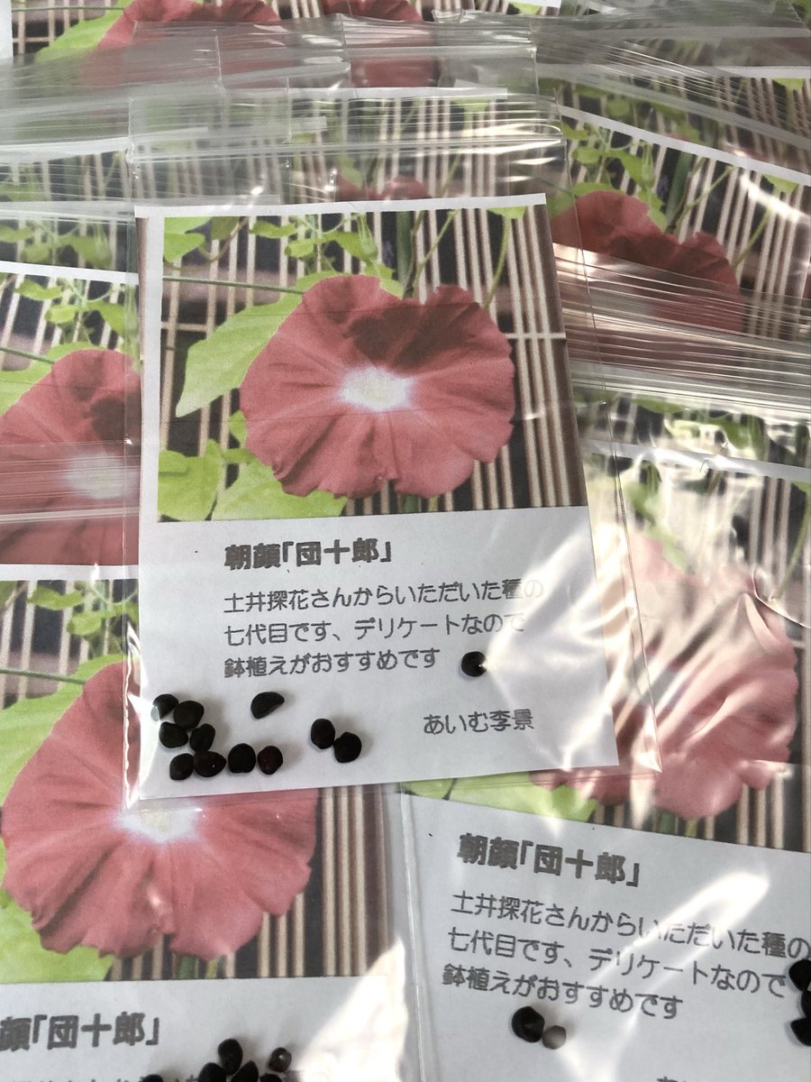 あいむ李景 tweet media