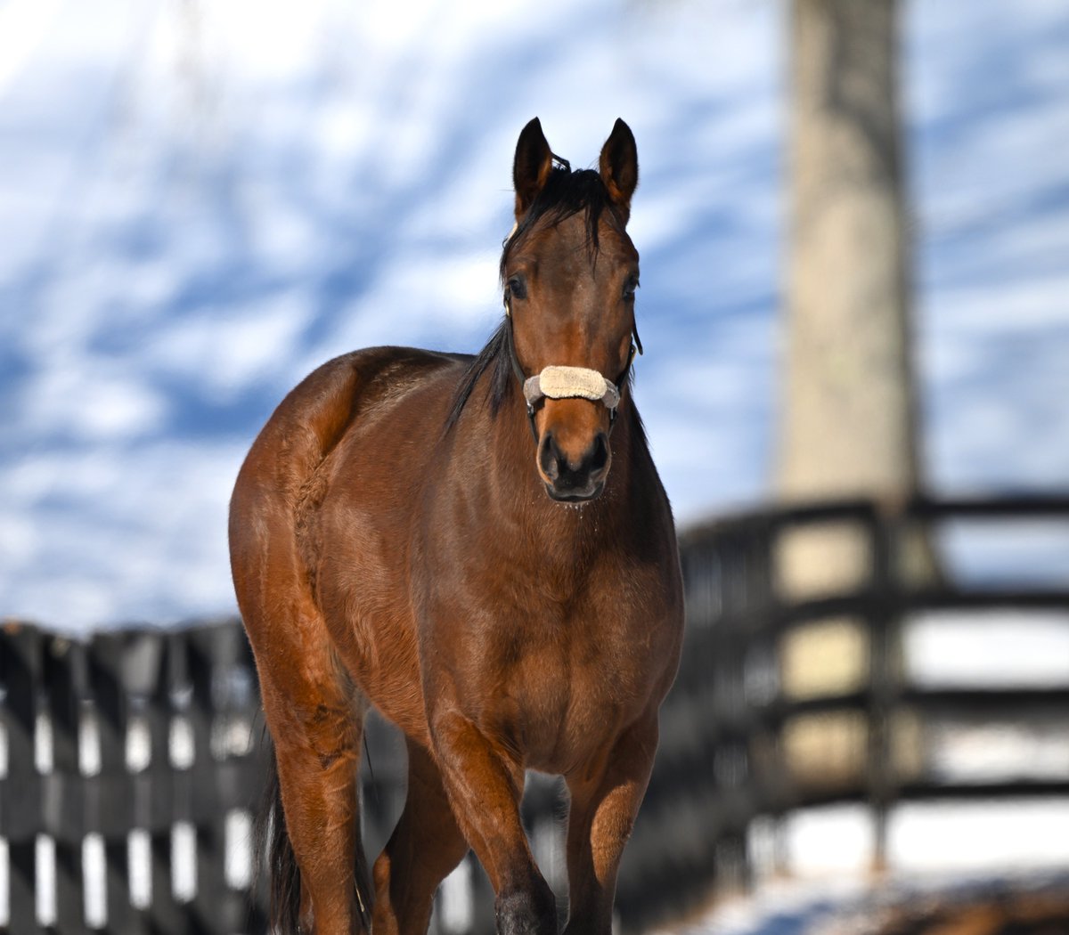 Dr. Patty Hogan tweet media