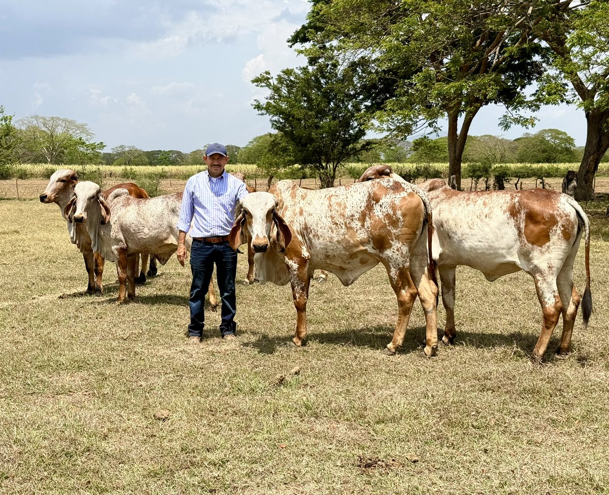 Óscar Domínguez tweet media