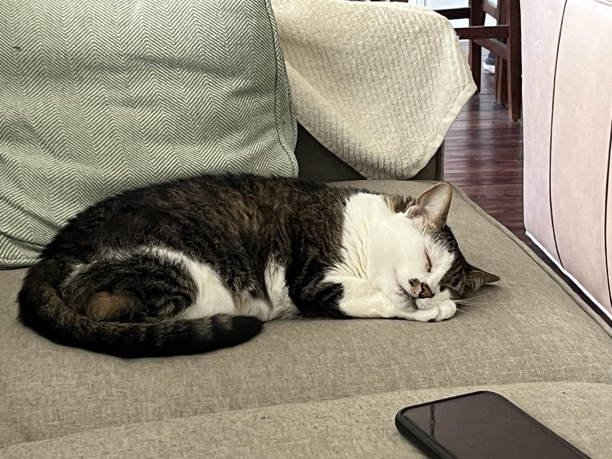 Jenny Butler tweet media