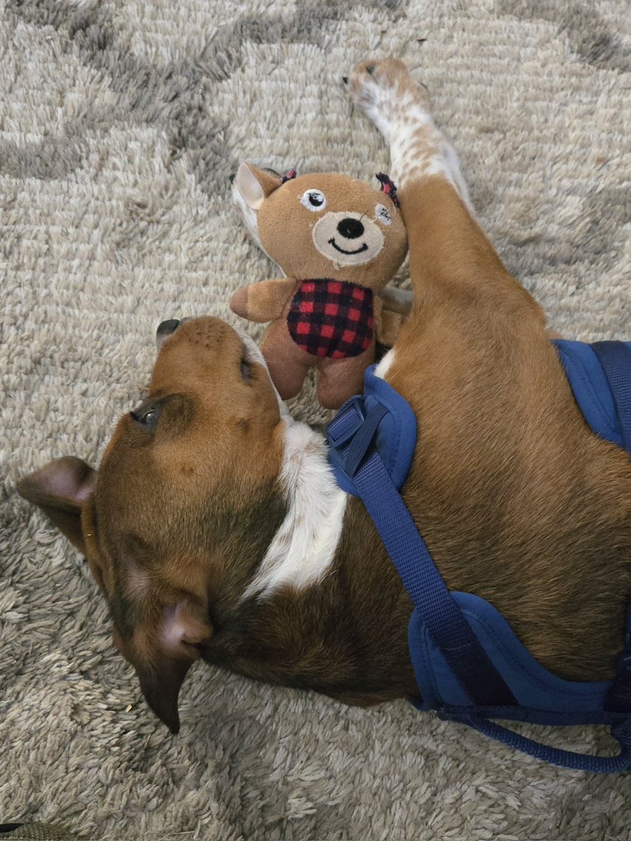 Michael Addis tweet media