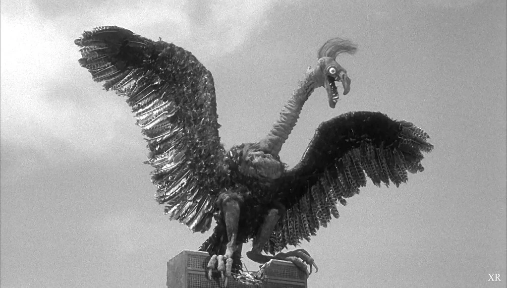 TheFVguy tweet media