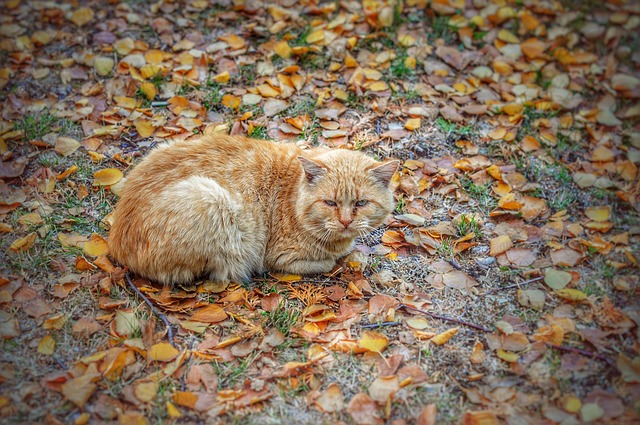 Doug Springer tweet media