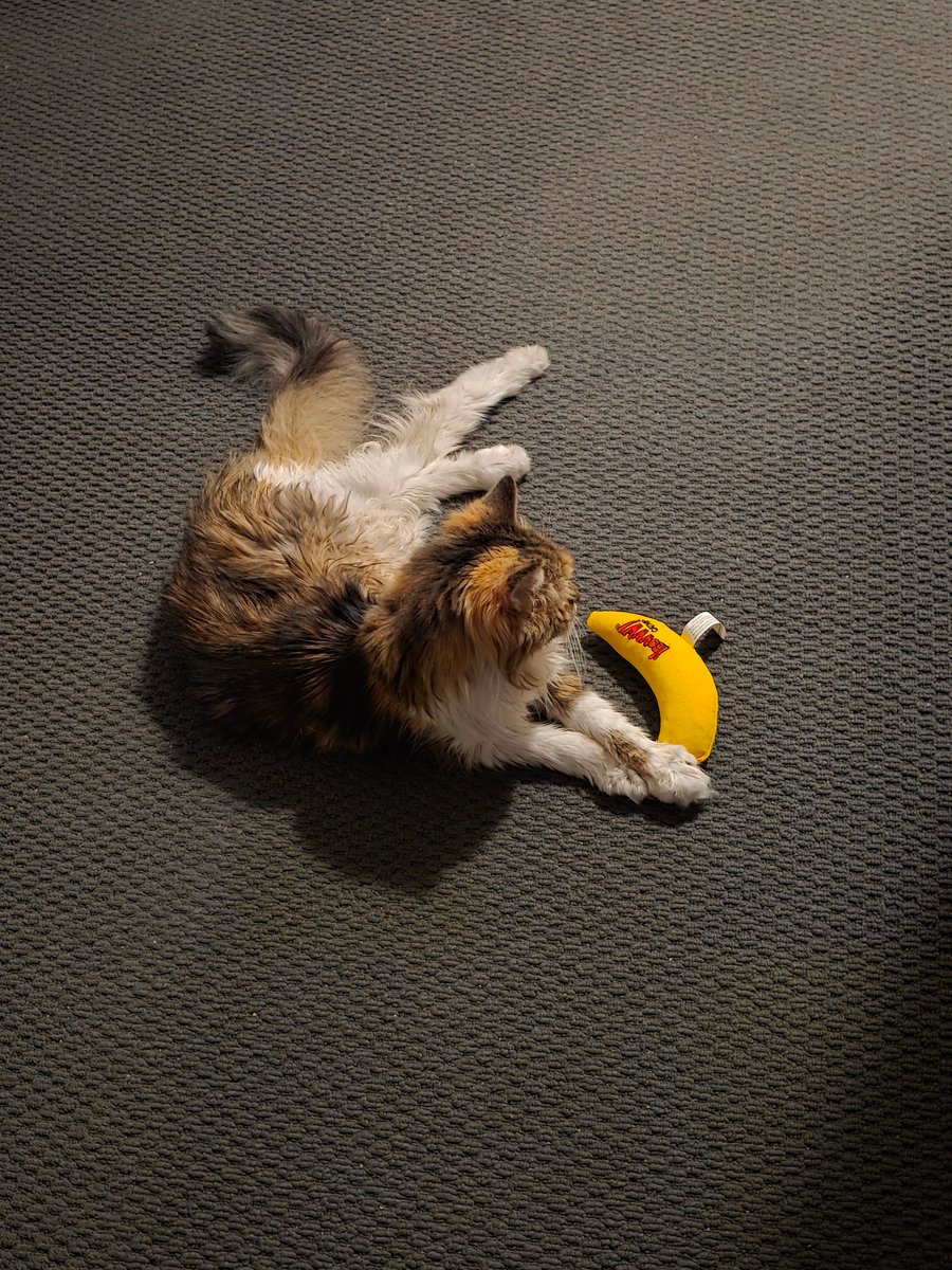 Shaun Ewing tweet media