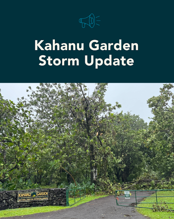 National Tropical Botanical Garden tweet media