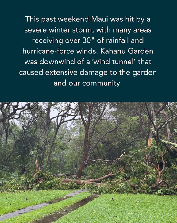 National Tropical Botanical Garden tweet media