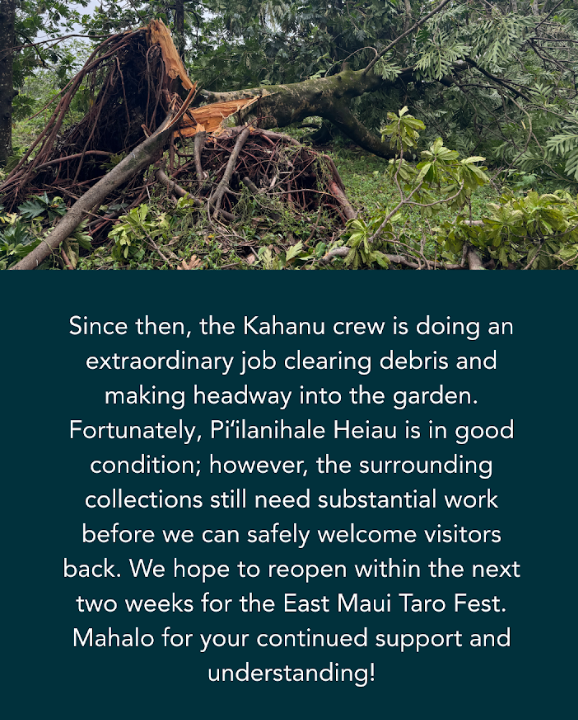 National Tropical Botanical Garden tweet media