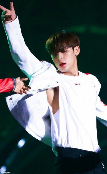 mingyu pits (@mingyupits) on Twitter photo 