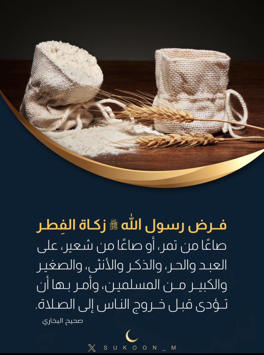 ﮼السنة ﮼سفينة ﮼نوح 🌾✨ tweet media