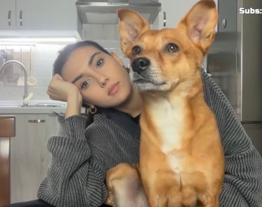 Zeudiners Argentina tweet media