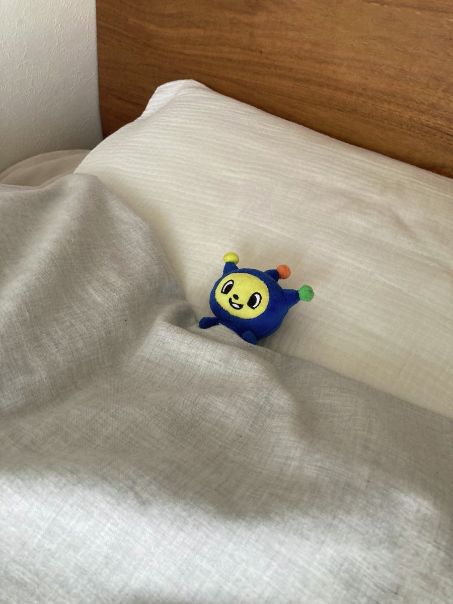 【公式】イッツコム tweet media