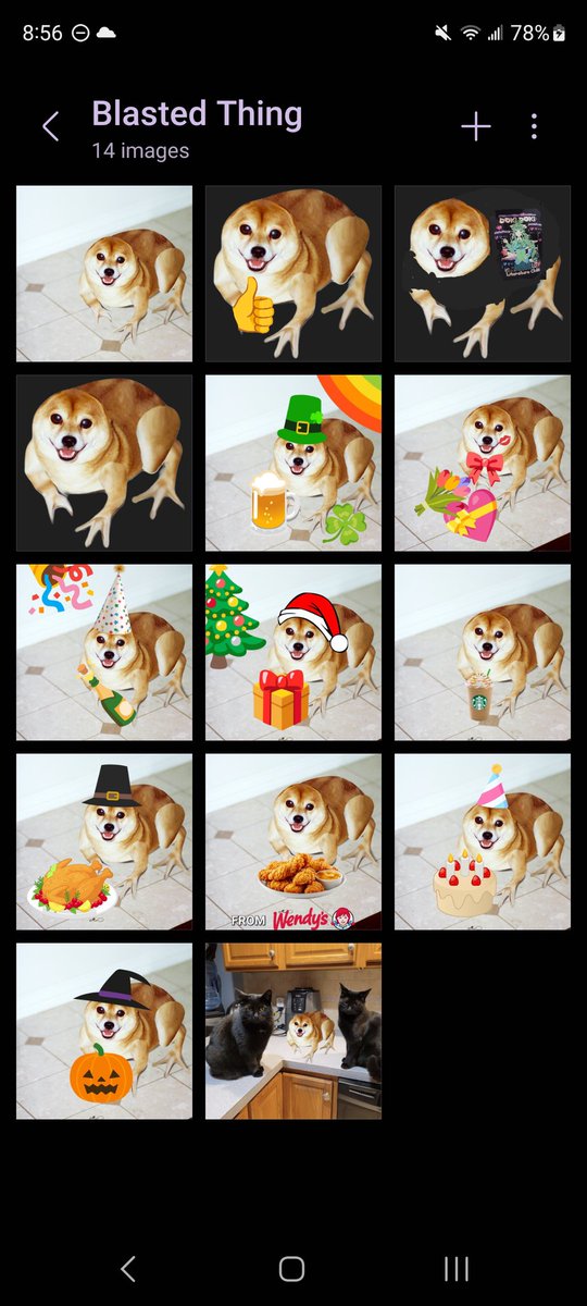 mimo 👾 tweet media