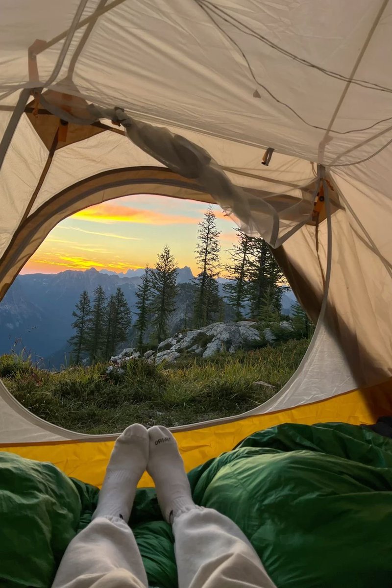 بحر 🌊 tweet media