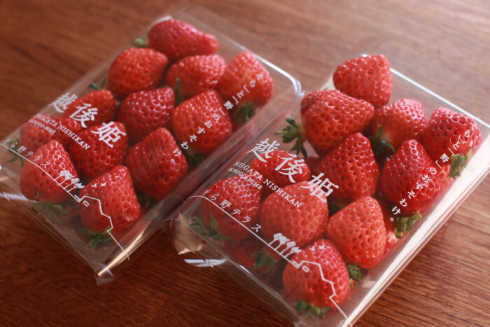 ロータスクラブ【公式】 tweet media