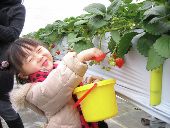 ロータスクラブ【公式】 tweet media