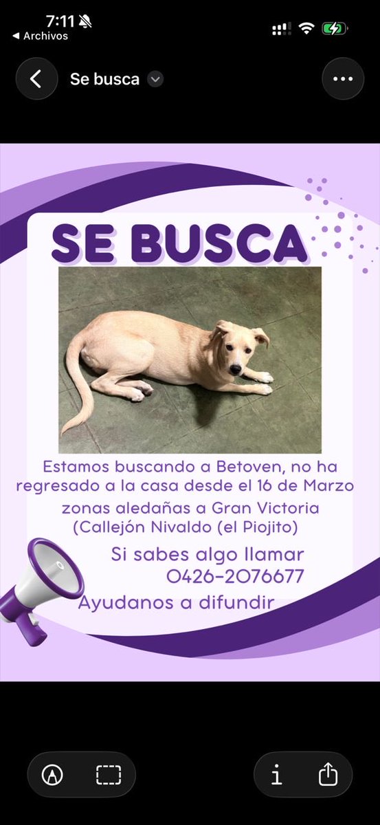 PerroUsuario Wof '•' tweet media